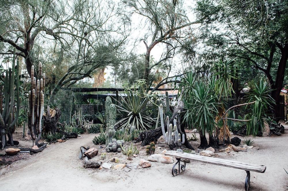 Desert Lodge Palm Springs Ngoại thất bức ảnh