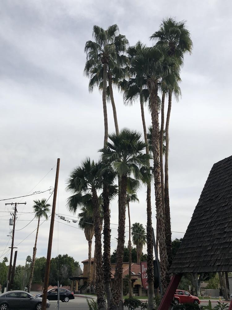 Desert Lodge Palm Springs Ngoại thất bức ảnh