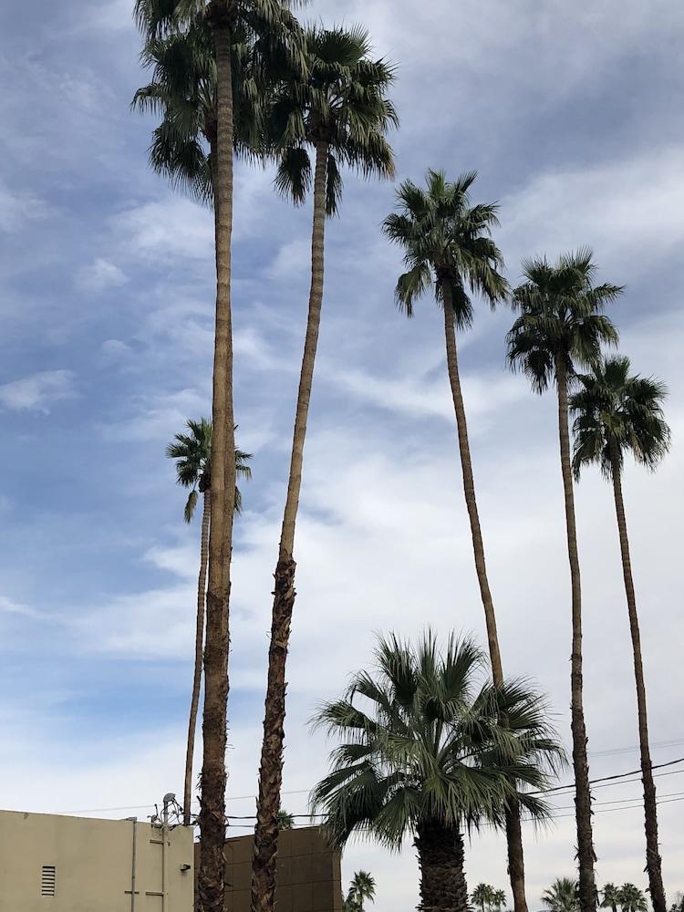 Desert Lodge Palm Springs Ngoại thất bức ảnh