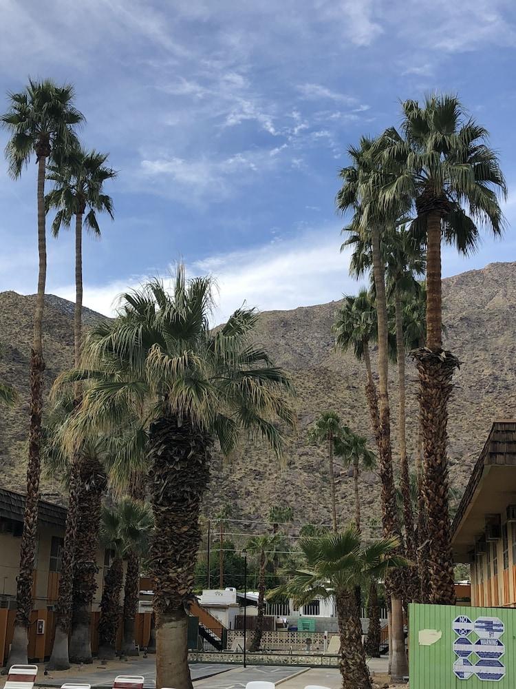 Desert Lodge Palm Springs Ngoại thất bức ảnh